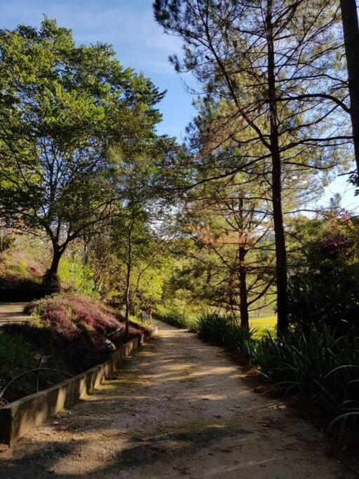 Recanto Dos Beija Flores, Chale Lantana C Monte Alegre do Sul Ngoại thất bức ảnh